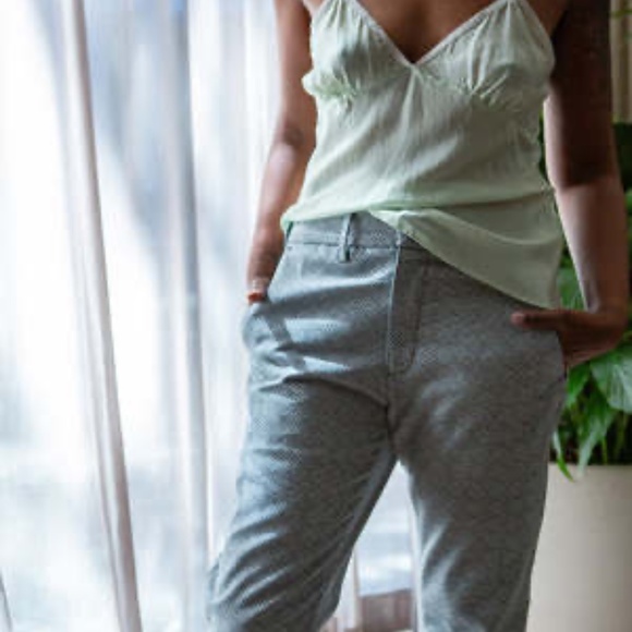 Erica Tanov Hudson Cotton Jacquard Pants - Quartz, 30 - Picture 4 of 11